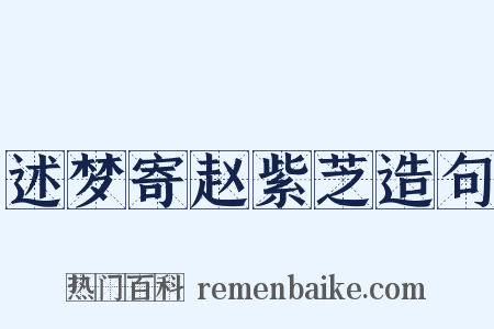 述梦寄赵紫芝造句是什么意思的图片